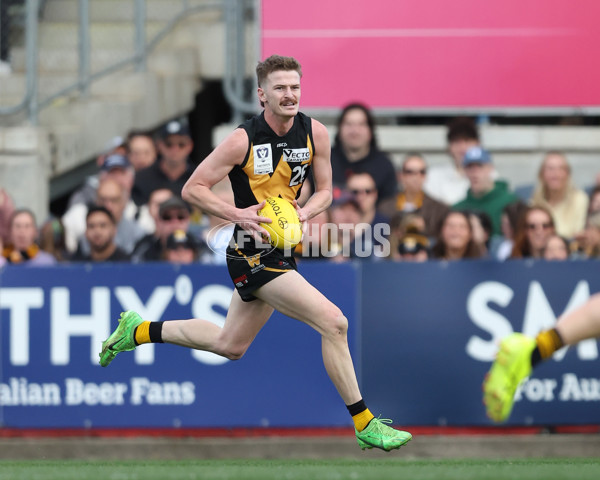 VFL 2024 Grand Final - Werribee v Southport Sharks - A-54262802