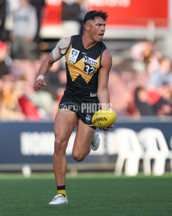 VFL 2024 Grand Final - Werribee v Southport Sharks - A-54262803