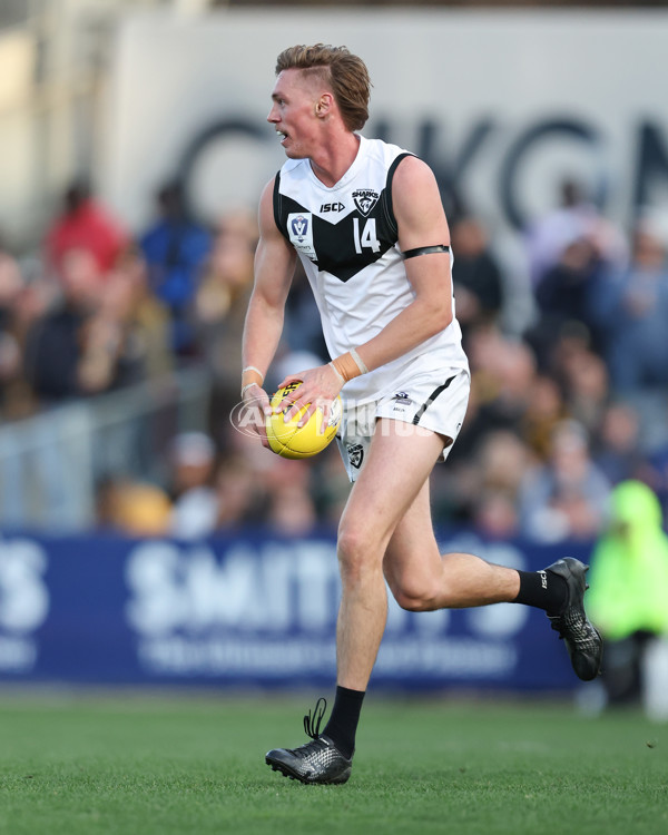 VFL 2024 Grand Final - Werribee v Southport Sharks - A-54263263