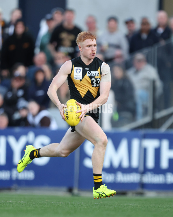 VFL 2024 Grand Final - Werribee v Southport Sharks - A-54263264