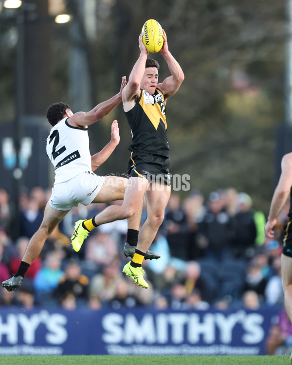 VFL 2024 Grand Final - Werribee v Southport Sharks - A-54263265