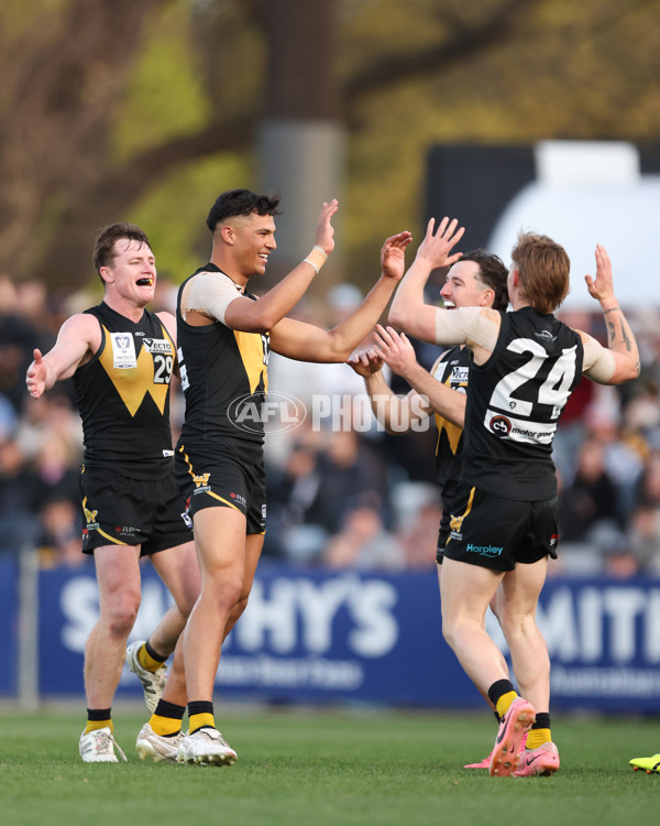 VFL 2024 Grand Final - Werribee v Southport Sharks - A-54263267