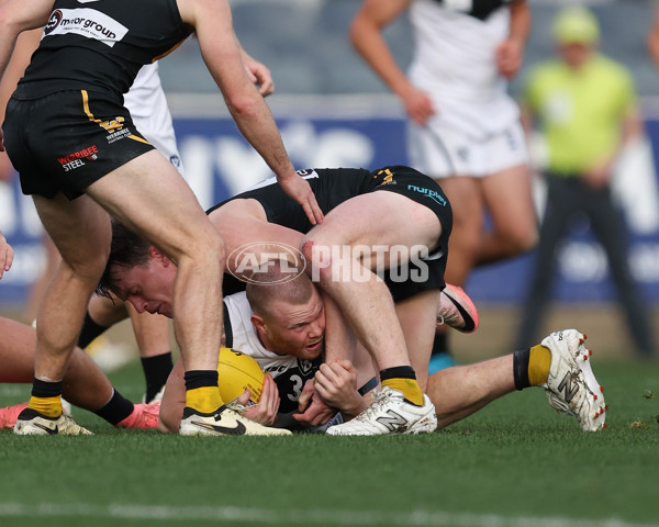 VFL 2024 Grand Final - Werribee v Southport Sharks - A-54263269