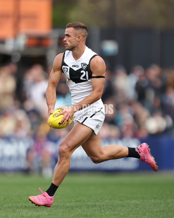 VFL 2024 Grand Final - Werribee v Southport Sharks - A-54335058