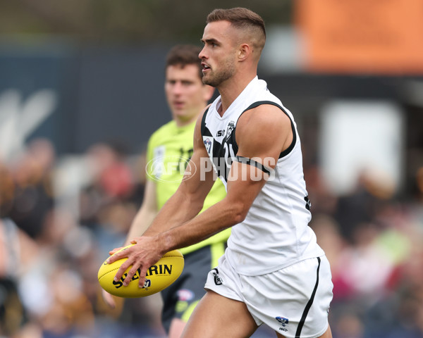 VFL 2024 Grand Final - Werribee v Southport Sharks - A-54336524