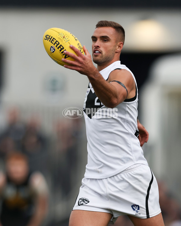 VFL 2024 Grand Final - Werribee v Southport Sharks - A-54336526