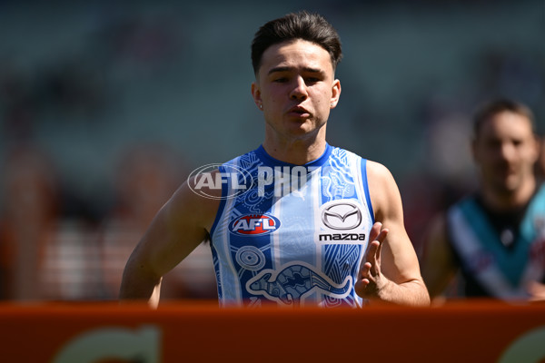 AFL 2024 Grand Final - Sydney v Brisbane - A-54384388