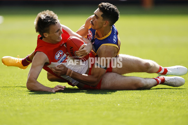 AFL 2024 Grand Final - Sydney v Brisbane - A-54389601