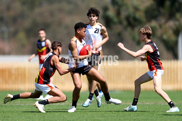 Diversity Series 2024 Match 1 - Flying Boomerangs v World Team - A-54515656