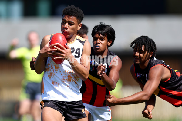 Diversity Series 2024 Match 1 - Flying Boomerangs v World Team - A-54523280