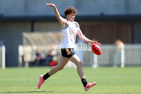 Diversity Series 2024 Match 2 - Flying Boomerangs v World Team - A-54523328