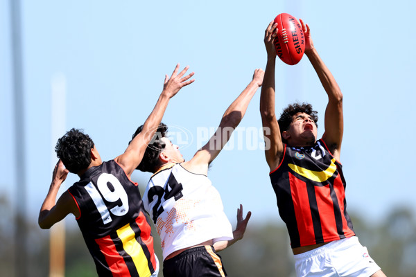 Diversity Series 2024 Match 2 - Flying Boomerangs v World Team - A-54528254