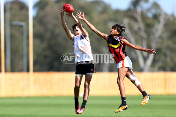 Diversity Series 2024 Match 2 - Flying Boomerangs v World Team - A-54535690