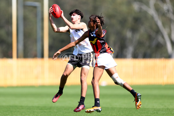 Diversity Series 2024 Match 2 - Flying Boomerangs v World Team - A-54535692