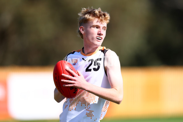 Diversity Series 2024 Match 2 - Flying Boomerangs v World Team - A-54624352