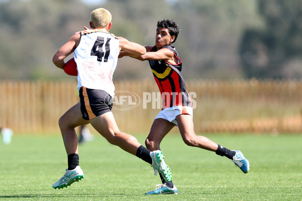 Diversity Series 2024 Match 2 - Flying Boomerangs v World Team - A-54624374