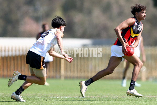 Diversity Series 2024 Match 2 - Flying Boomerangs v World Team - A-54624379