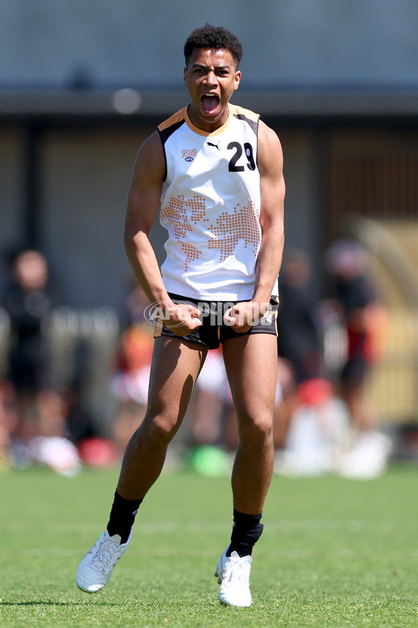 Diversity Series 2024 Match 1 - Flying Boomerangs v World Team - A-54638356