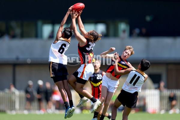 Diversity Series 2024 Match 1 - Flying Boomerangs v World Team - A-54647501