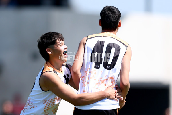 Diversity Series 2024 Match 1 - Flying Boomerangs v World Team - A-54647529