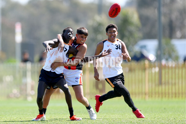 Diversity Series 2024 Match 2 - Flying Boomerangs v World Team - A-54651855