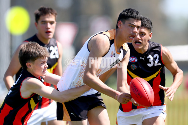 Diversity Series 2024 Match 1 - Flying Boomerangs v World Team - A-54653315