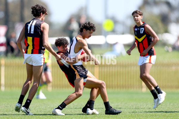 Diversity Series 2024 Match 1 - Flying Boomerangs v World Team - A-54660902