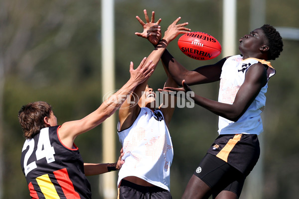 Diversity Series 2024 Match 1 - Flying Boomerangs v World Team - A-54660907