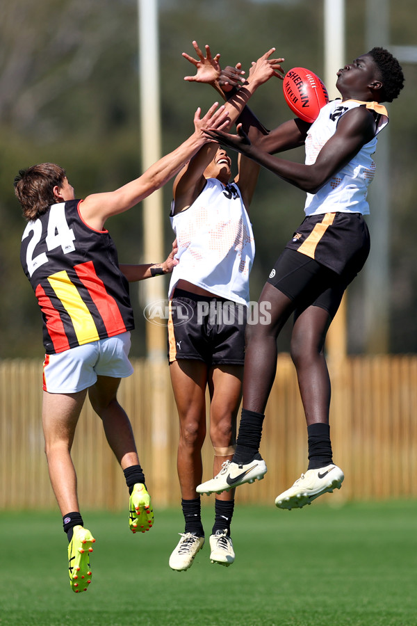 Diversity Series 2024 Match 1 - Flying Boomerangs v World Team - A-54660908