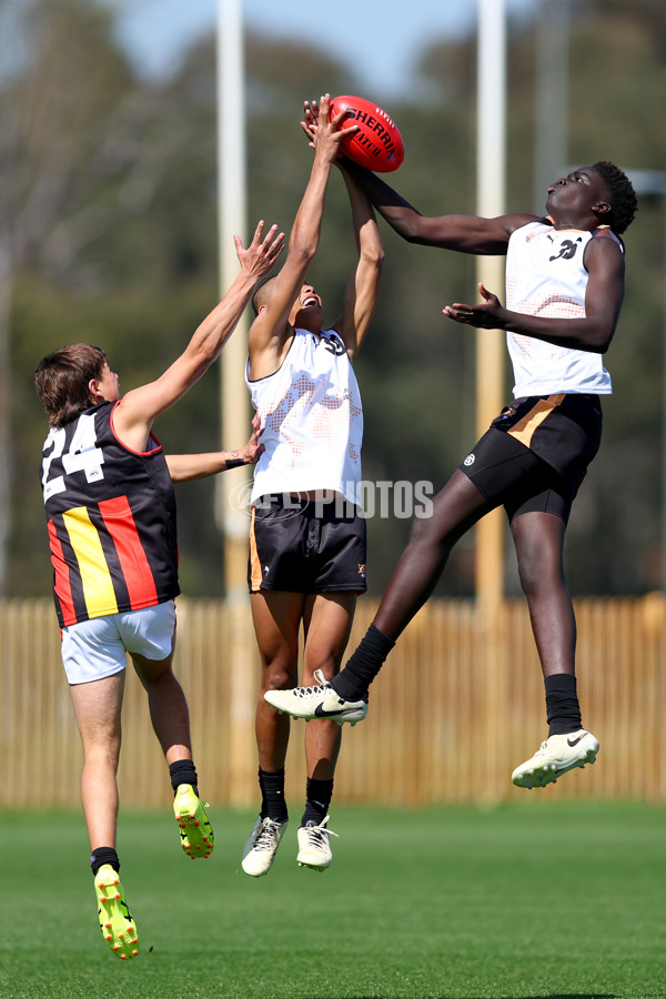 Diversity Series 2024 Match 1 - Flying Boomerangs v World Team - A-54660909