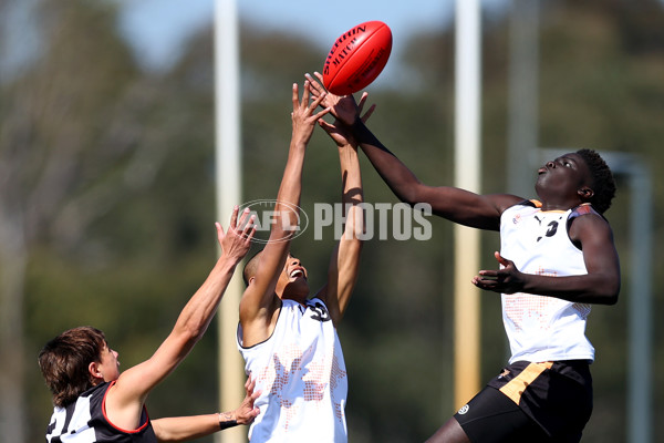 Diversity Series 2024 Match 1 - Flying Boomerangs v World Team - A-54660910