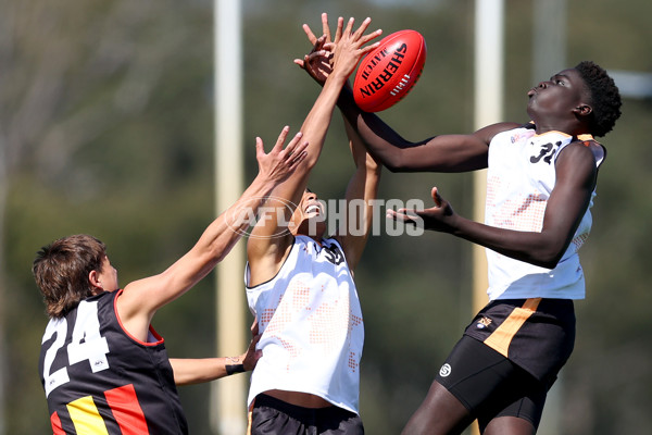 Diversity Series 2024 Match 1 - Flying Boomerangs v World Team - A-54661910