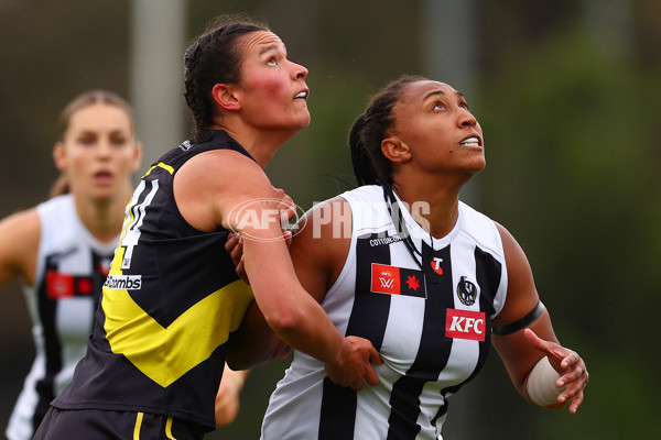 AFLW 2024 Round 06 - Richmond v Collingwood - A-55098353