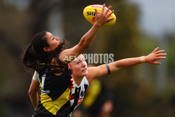 AFLW 2024 Round 06 - Richmond v Collingwood - A-55098366