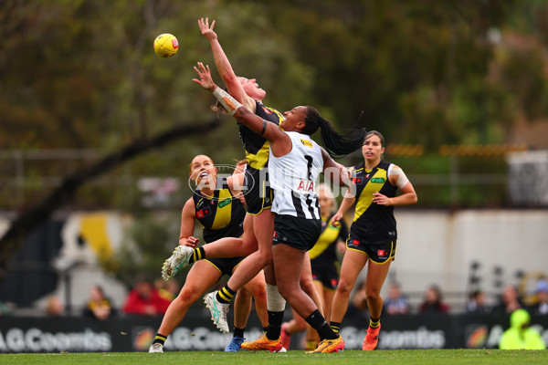 AFLW 2024 Round 06 - Richmond v Collingwood - A-55098383