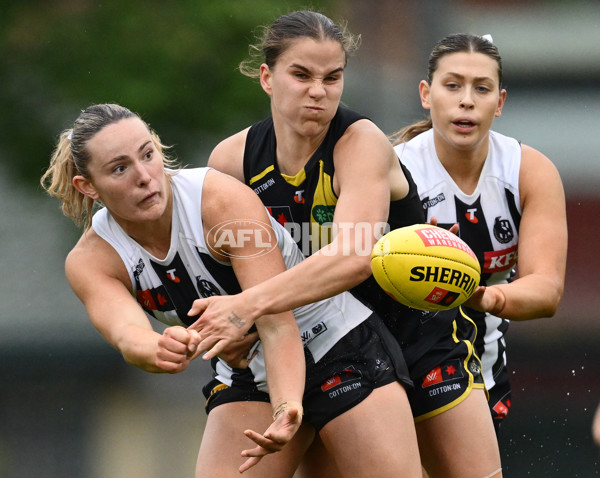 AFLW 2024 Round 06 - Richmond v Collingwood - A-55105972