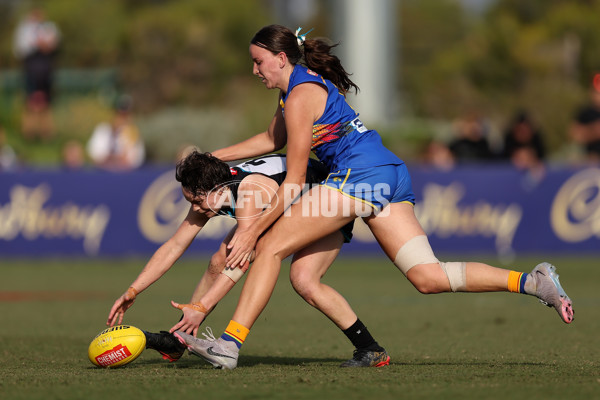 AFLW 2024 Round 06 - West Coast v Port Adelaide - A-55117672