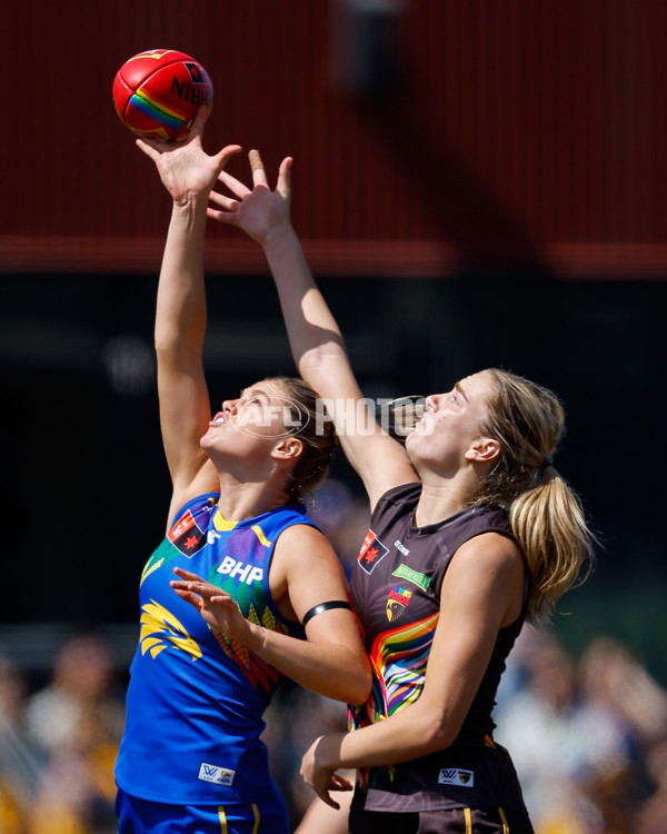 AFLW 2024 Round 07 - Hawthorn v West Coast - A-55239526