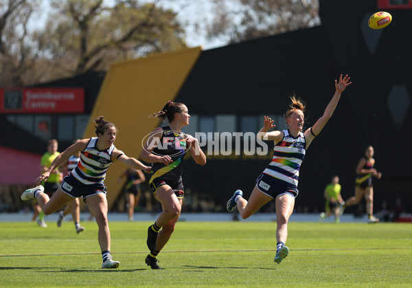 AFLW 2024 Round 07 - Richmond v Geelong - A-55239599