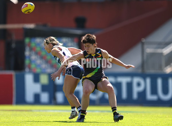 AFLW 2024 Round 07 - Richmond v Geelong - A-55242399