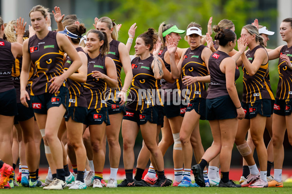 AFLW 2024 Training - Hawthorn 171024 - A-55304847