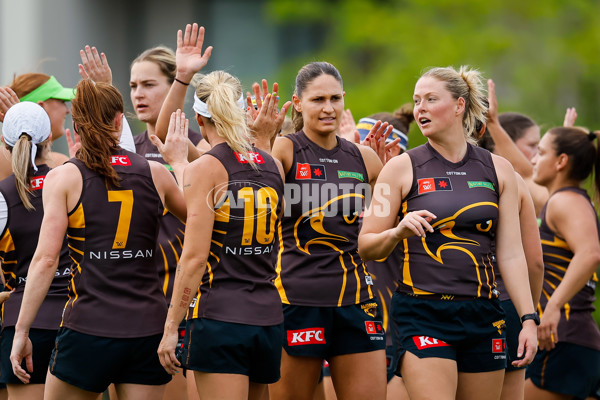 AFLW 2024 Training - Hawthorn 171024 - A-55304851