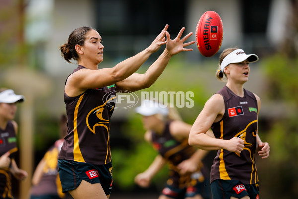 AFLW 2024 Training - Hawthorn 171024 - A-55304854