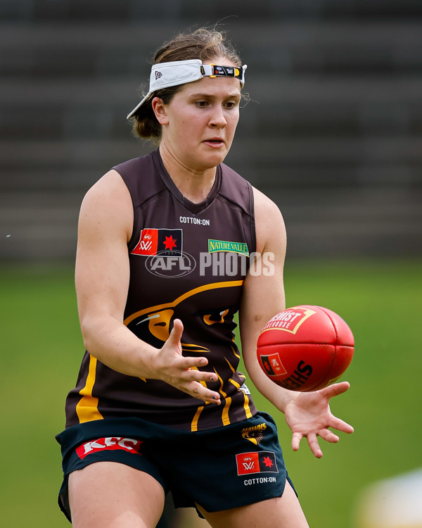 AFLW 2024 Training - Hawthorn 171024 - A-55304858