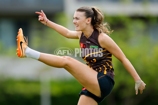 AFLW 2024 Training - Hawthorn 171024 - A-55304864