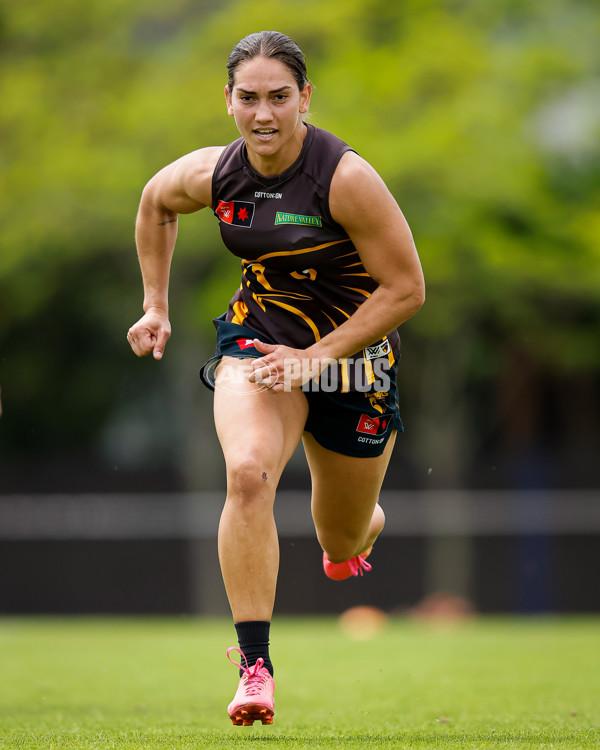 AFLW 2024 Training - Hawthorn 171024 - A-55304869