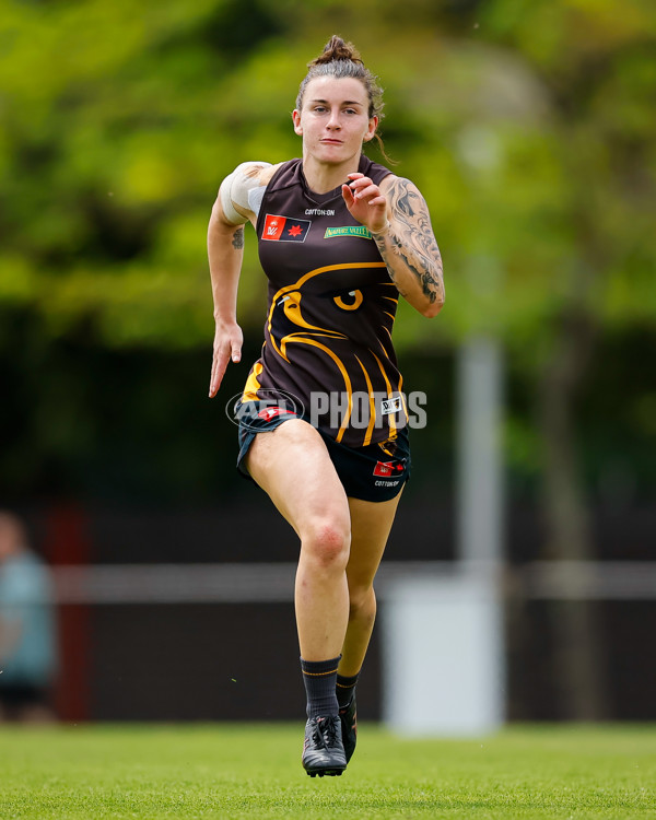 AFLW 2024 Training - Hawthorn 171024 - A-55304870