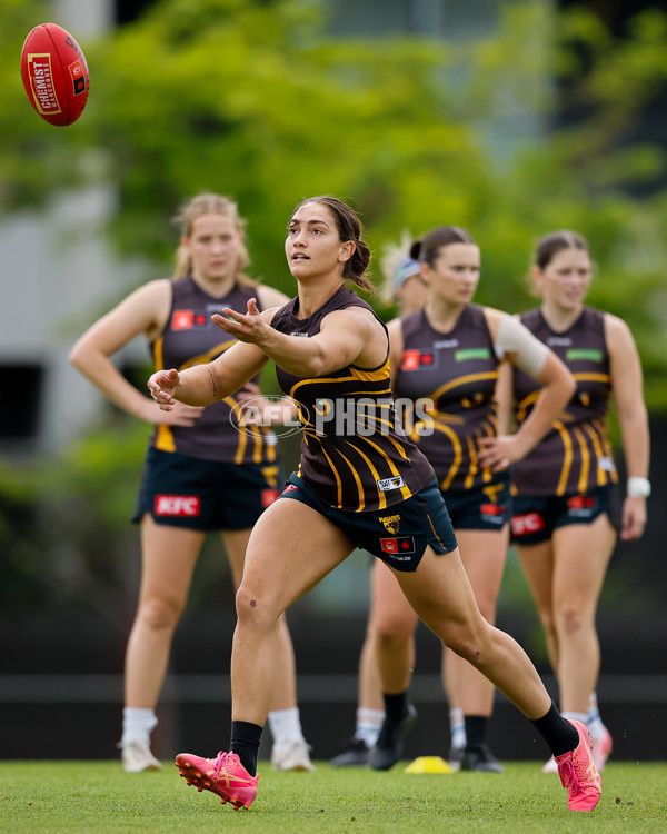 AFLW 2024 Training - Hawthorn 171024 - A-55320664