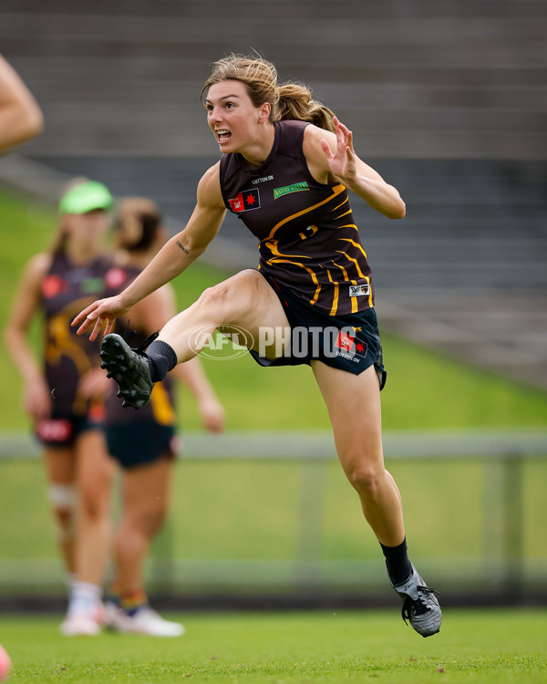 AFLW 2024 Training - Hawthorn 171024 - A-55320665