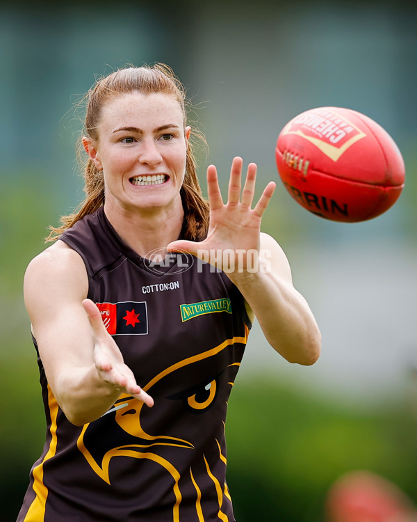 AFLW 2024 Training - Hawthorn 171024 - A-55320666